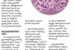 Different-Types-Of-Infections-In-Uterus-3